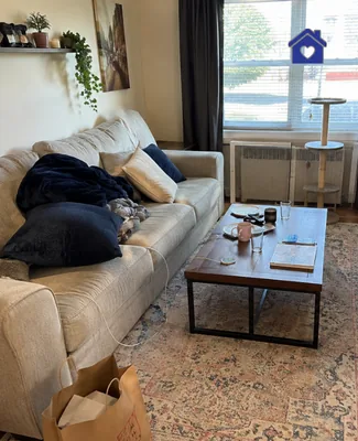 The living room before a deep cleaning, blankets on the sofa and a coffee table full of things, during the deep cleaning, it is agreed before the work which cabinets will be opened and which will remain untouched.